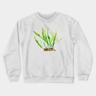 Aquarium Plants Series Java Fern Crewneck Sweatshirt